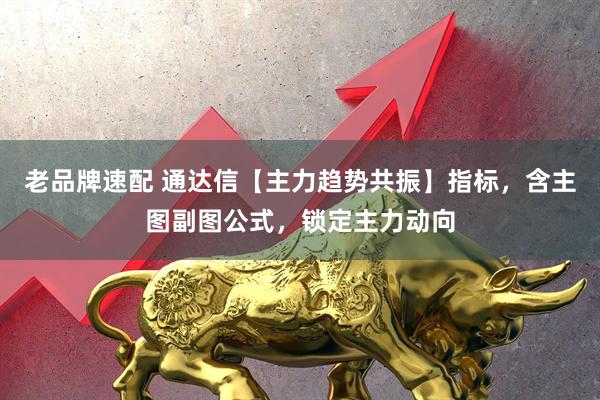 老品牌速配 通达信【主力趋势共振】指标，含主图副图公式，锁定主力动向