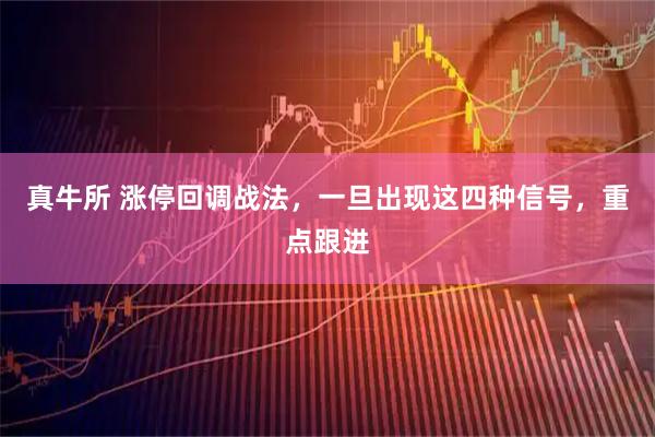 真牛所 涨停回调战法，一旦出现这四种信号，重点跟进