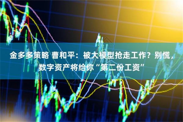 金多多策略 曹和平：被大模型抢走工作？别慌，数字资产将给你“第二份工资”