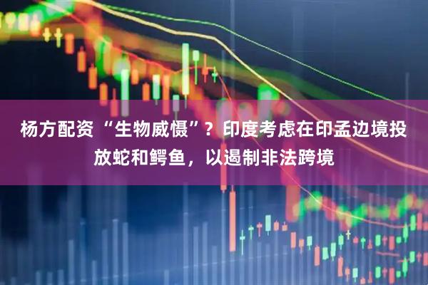 杨方配资 “生物威慑”？印度考虑在印孟边境投放蛇和鳄鱼，以遏制非法跨境