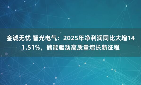 金诚无忧 智光电气：2025年净利润同比大增141.51%，储能驱动高质量增长新征程